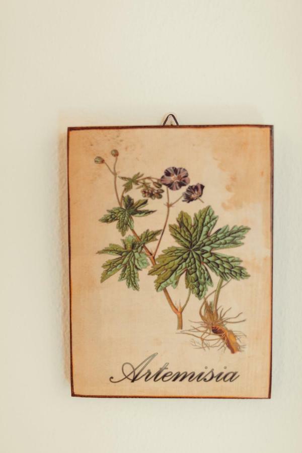 B&B Artemisia Αλγκέρο Εξωτερικό φωτογραφία